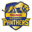 Siechem Madurai Panthers Flag