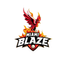 Miami Blaze Flag